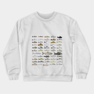 Carp Family Group Crewneck Sweatshirt